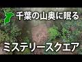 【奇跡の遭遇】野生の鹿が逃げ込んだ先は...森に眠る人工物「美しい四角の穴」/Antigravity A1
