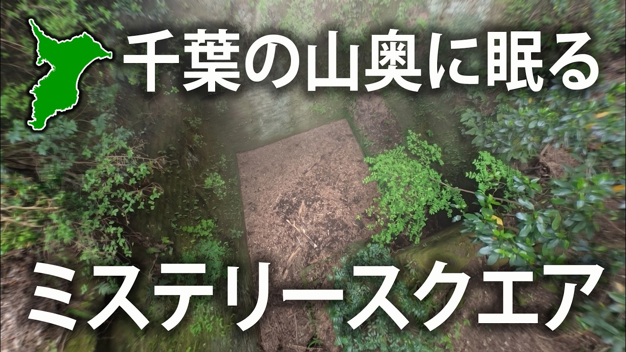 【奇跡の遭遇】野生の鹿が逃げ込んだ先は...森に眠る人工物「美しい四角の穴」/Antigravity A1