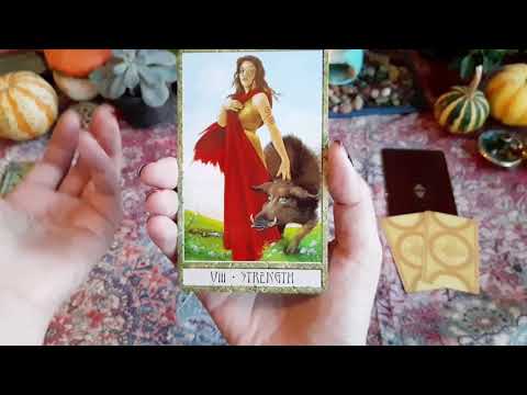 რას ფიქრობს ყოფილი ჩემზე?