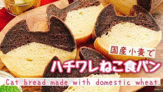 【国産小麦】ねこねこ食パンレシピ(ハチワレ)試作/Cat bread made with domestic wheat./白神こだま酵母