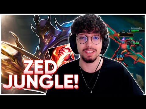 ZED JUNGLE VIROU META?