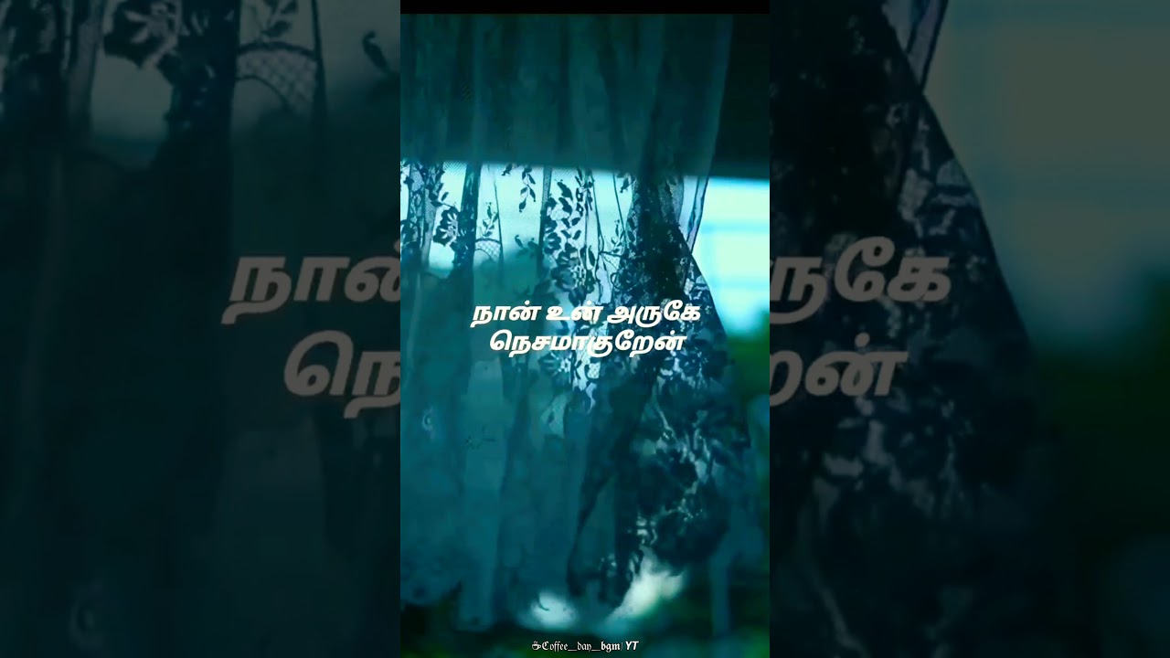 Nesamaguren💖 tamil song whatsapp statusStephen Zechariah ft Saindhavi