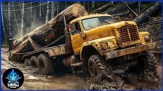 55 EXTREME Dangerous Biggest Wood Logging Truck Operator Skill Working | Best Of The Week