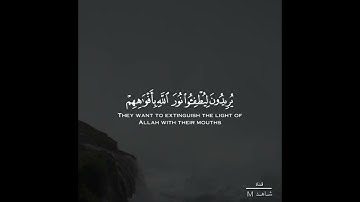 سورة الصف - القارئ بدر التركي 🤍🤍🎧