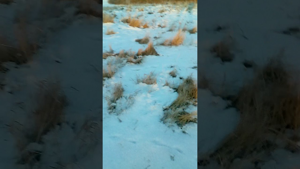 Подрыв рукомойника Mg + NaNO3 + S