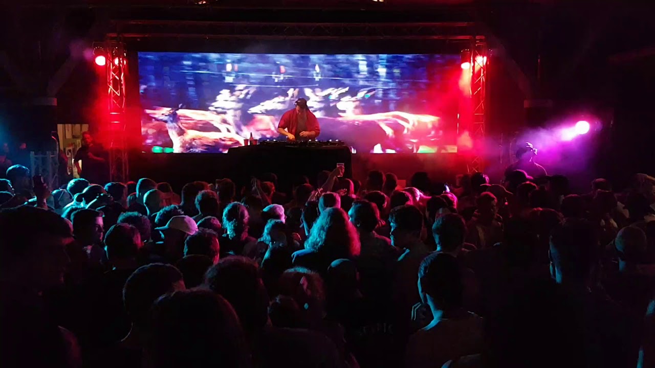 Wollongong Uni Bar YouTube