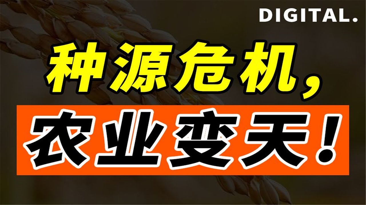 农业今年有何不同？现状：爷青结的开心农场正从虚拟变为现实