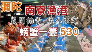 高雄彌陀南寮漁港：清晨5點40魚販搶拍∣螃蟹1簍530∣競拍 ... 