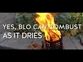 Yes, boiled linseed oil CAN combust as it dries! Yes, boiled linseed oil CAN combust as it dries!