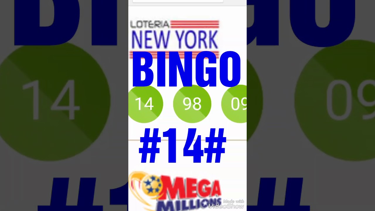 Bingo con el 14 en la lotería nueva york, YouTube