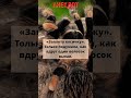 🤣Анекдот про бабу Ягу #анекдоты #юмор #приколы #мемы