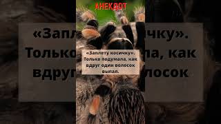 🤣Анекдот про бабу Ягу #анекдоты #юмор #приколы #мемы