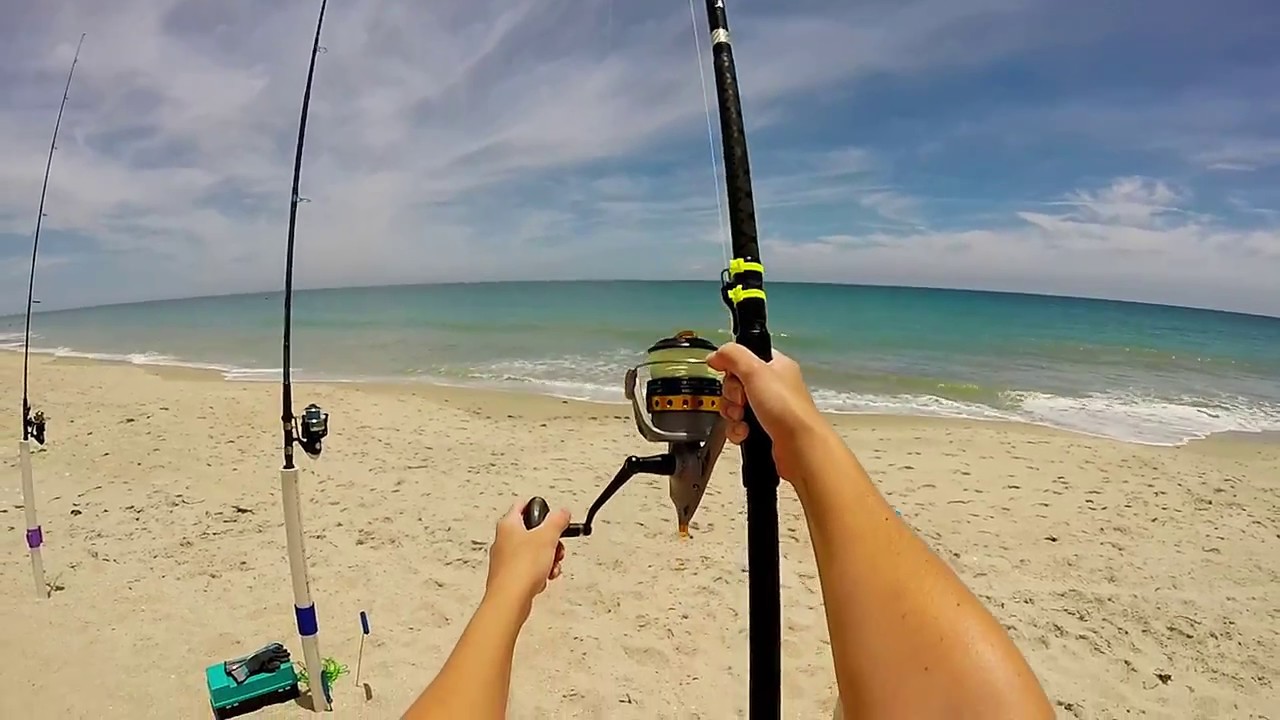 Catching a Blacktip Shark Surf Fishing - Vero Beach, FL 