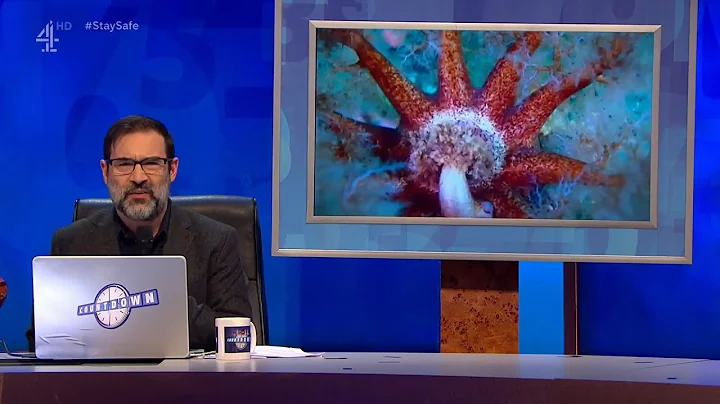 Adam Buxton's nature DJ (8 Out of 10 Cats Does Cou...