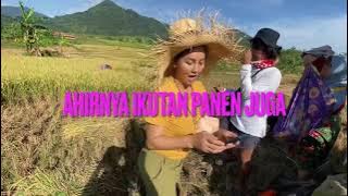 ARTIS SEORANG MERIAM BELINA TURUN KE SAWAH???