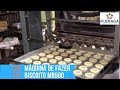 Máquina de Fazer Biscoito MB500 | M.Braga Máquinas ©