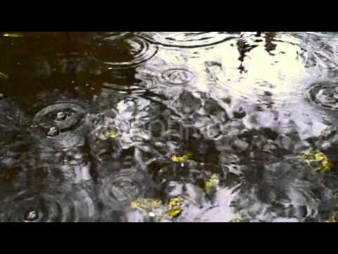 Rain Drops Falling Into a Pool