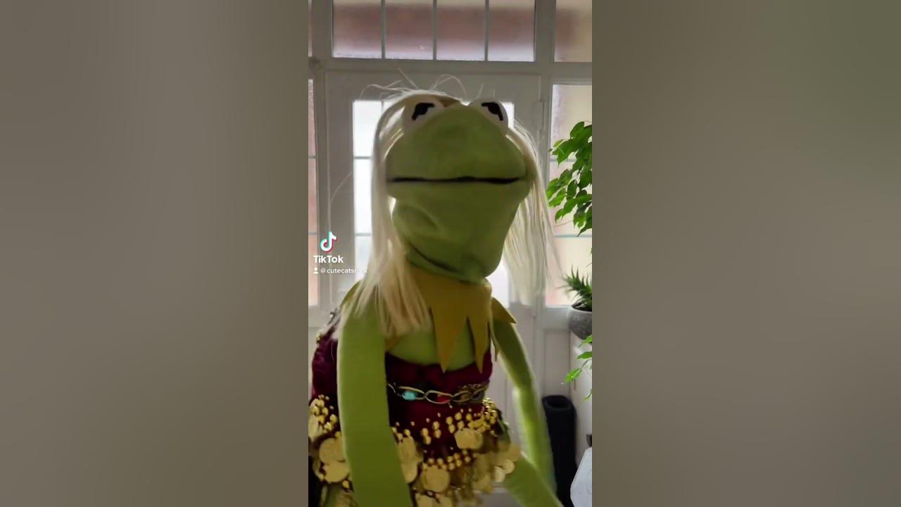 Kermit the frog dance like Shakira - YouTube