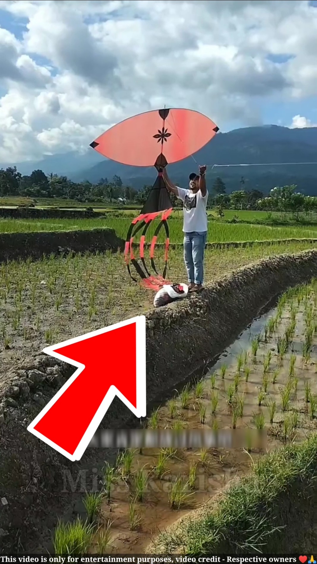 चीन की पतंग कैसी होती है || china kite || #shortsvideo