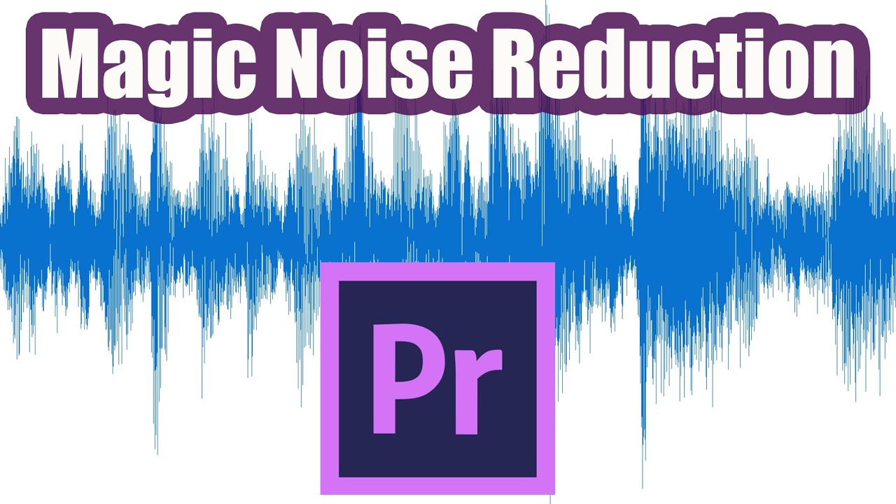 cs4 premiere pro video noise reduction