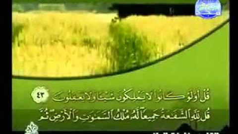 سورة الزمر كاملة الشيخ خليفة الطنيجي
