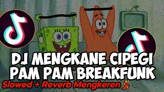 DJ MENGKANE CIPEGI PAM PAM BREAKFUNK (SLOWED REVERB) | BY [FMP] VIRAL TIKTOK