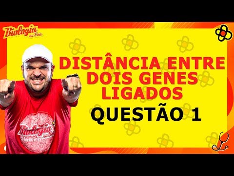 Vídeo: Como é calculada a distância do mapa genético?