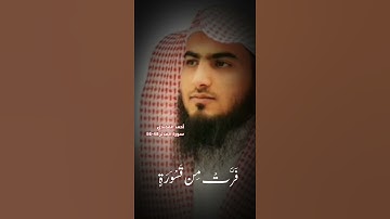 اخر سورة المدثر الاية 48-56