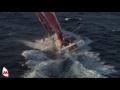 MACSF, l'Imoca vu du ciel
