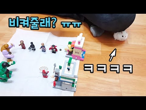 사람을 은신처로 이용하는 햄스터 ㅋㅋㅋ | Hamster Using Human <strong>Shade</strong>