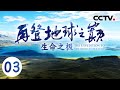 《再登地球之巅》全球变暖带来的后果离我们到底还有多远呢？中国科学院院士为你揭秘 带你发现“生命之极”！EP03【CCTV纪录】