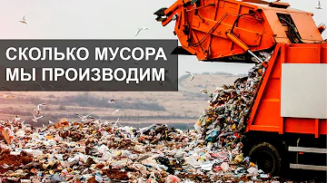 Сколько мусора производит человек в месяц