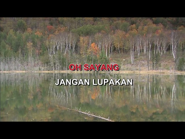 SAWAH DAN LADANG BENYAMIN S & IDA R Indonesian Malay Karaoke class=