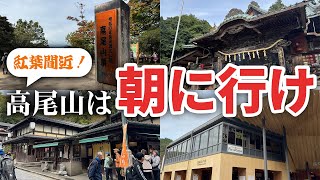 【もうすぐ見頃】混雑する前の早朝に登りに行く「高尾山」