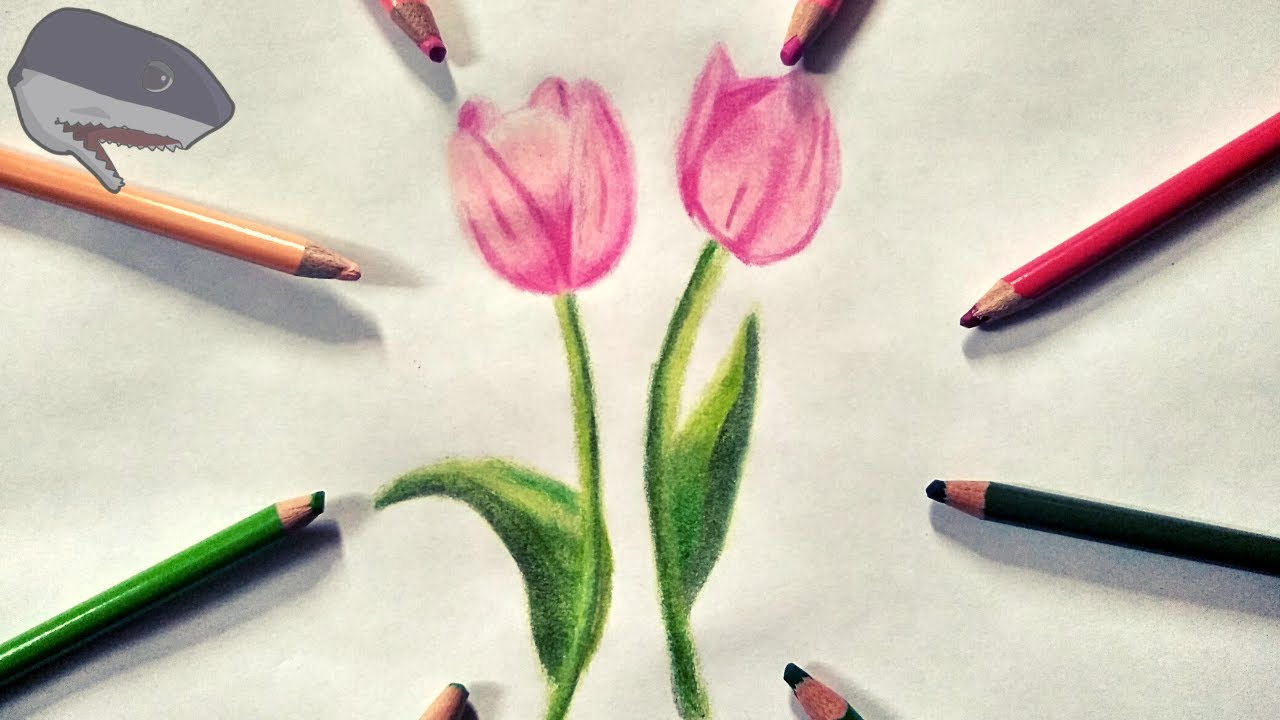CÓMO dibujar TULIPANES fácil./How to draw TULIP. - YouTube