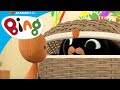 Bing está jugando al escondite con Sula | Bing Español