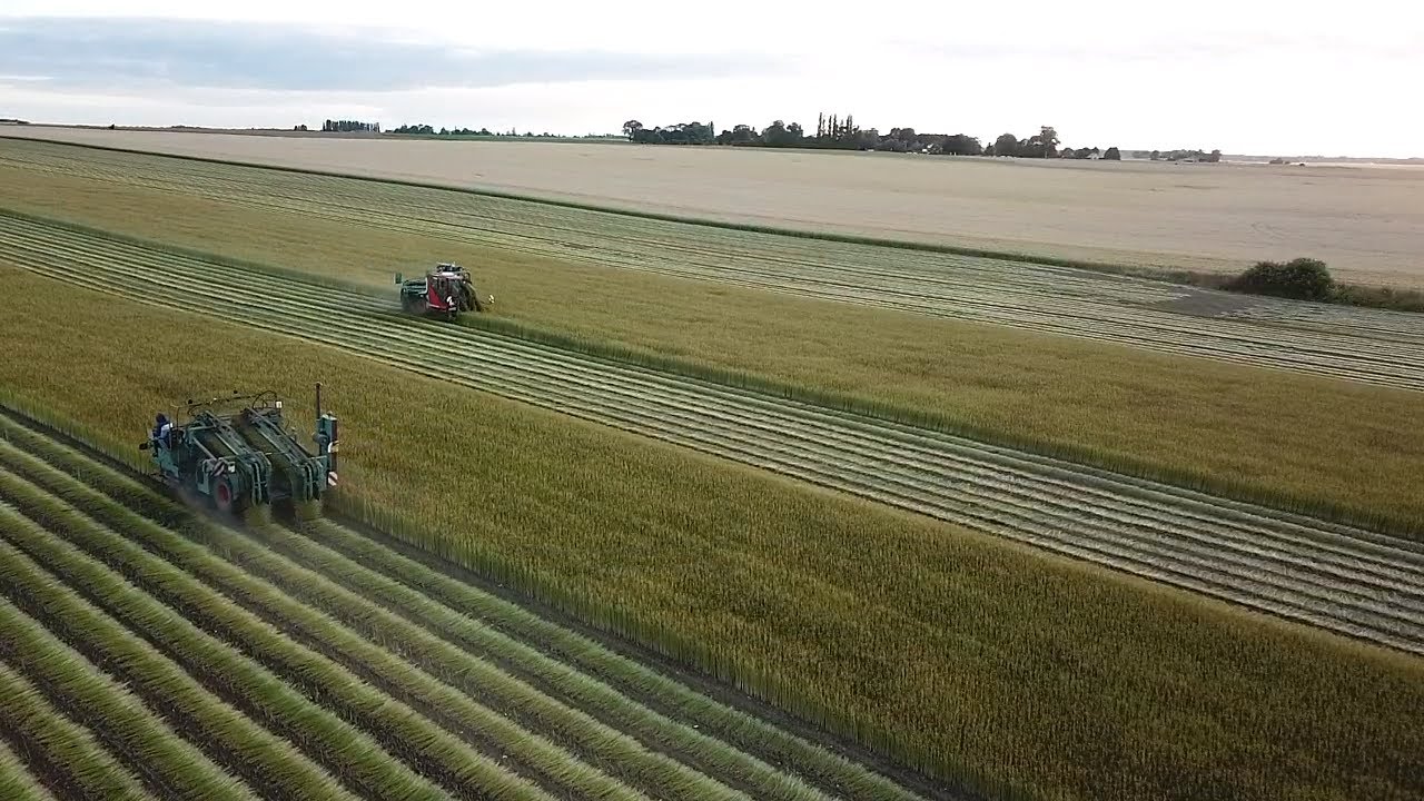 Arrachage de LIN 2022