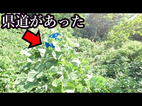 その県道区間が通れる日は二度とやってこないだろう…[富山県道59号 富山庄川線]