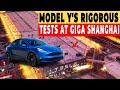 Watch Tesla Model Y's Rigorous Quality Tests at Giga Shanghai