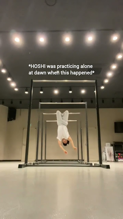 let's save Hoshi 🤣 #hoshi #seventeen #spider