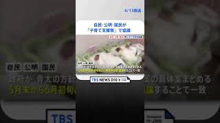 自民・公明・国民が「子育て支援策」で協議　“財源”の議論は5月末以降で一致  | TBS NEWS DIG #shorts