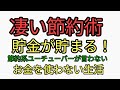 本当の節約術と貯金法は、スーパーの半額弁当、惣菜やクーポン使ってお得に食事をすることではない！ガンガン節約して貯金もたまる！倹約家や貧乏人、貧困層、どケチこそ野草を食べよう！