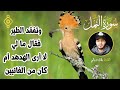وتفقد الطير فقال ما لي لا أرى الهدهد أم كان من الغائبين من سورة النمل بصوت الشيخ بلال دربالي