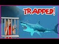 Trapped in a SHARK CAGE!