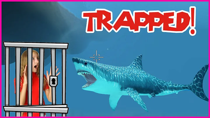 Trapped in a SHARK CAGE!