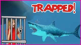 Trapped in a SHARK CAGE!