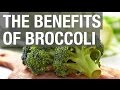The Benefits of Broccoli!