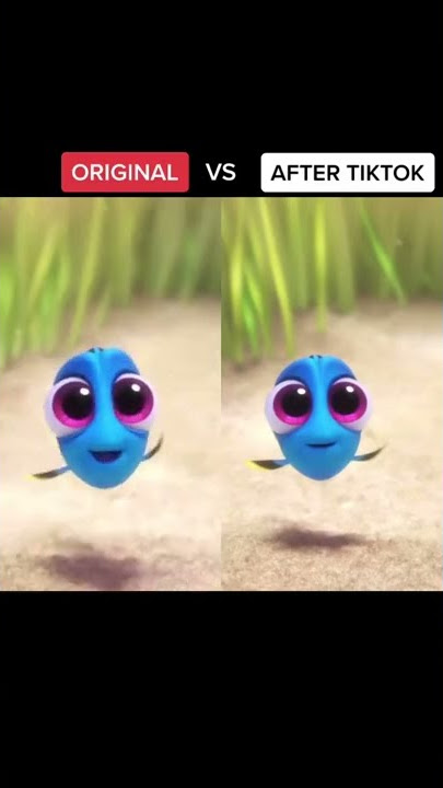 Hi am Dory.... Let's go...
