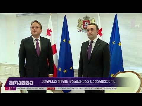 ევროკავშირის დახმარება საქართველოს