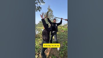 Chơi đu dây trên sông và cái kết đắng lòng